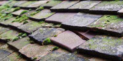 Caerau roof repair costs